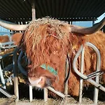 Moewennest Im Fh Zum Reetdachhaus Am Haff * Pepelow