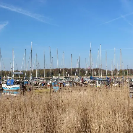 Moewennest Im Fh Zum Reetdachhaus Am Haff Lägenhet Pepelow