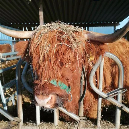 Moewennest Im Fh Zum Reetdachhaus Am Haff Lägenhet Pepelow