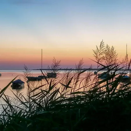 Moewennest Im Fh Zum Reetdachhaus Am Haff *