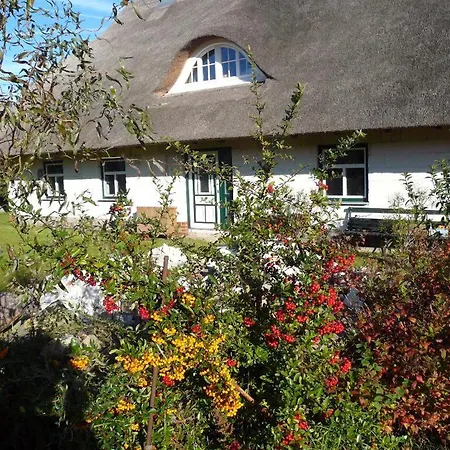 Lägenhet Moewennest Im Fh Zum Reetdachhaus Am Haff *