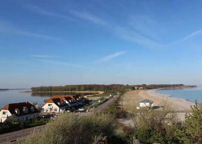 Moewennest Im Fh Zum Reetdachhaus Am Haff